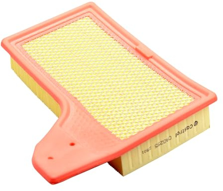 Castrol Filters CA0255 Air Filter