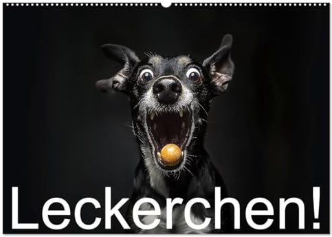 Leckerchen! (Wandkalender 2026 DIN A2 quer), CALVENDO Monatskalender: Hunde fangen Leckerchen (CALVENDO Spass)