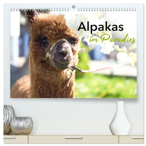 Alpakas im Paradies (hochwertiger Premium Wandkalender 2026 DIN A2 quer), Kunstdruck in Hochglanz: glückliche Alpakas in idyllischer Umgebung (CALVENDO Tiere)