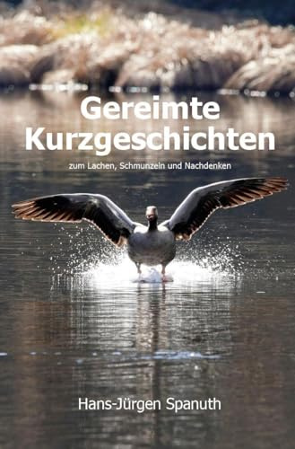 Gereimte Kurzgeschichten: zum Lachen, Schmunzeln und Nachdenken