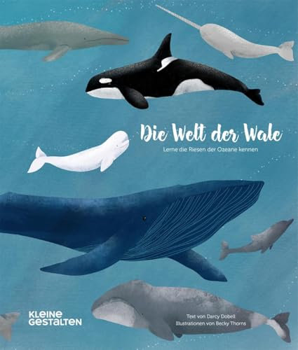 Die Welt der Wale: Lerne die Riesen der Ozeane kennen