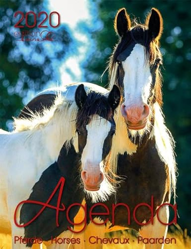 Agenda Pferd 2020: Pferde