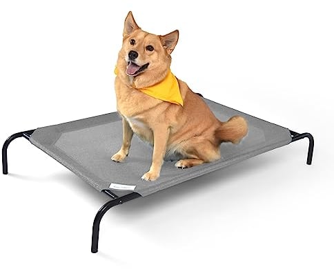 Coolaroo Gale Pacific Erhöhtes Hundebett, groß, grau