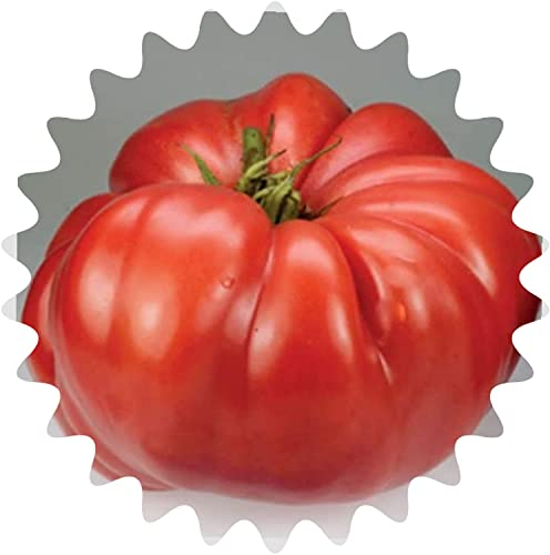 Tomatensamen Roter saftiger Riese ca. 50 Samen Riesentomate Vitaminreich lecker