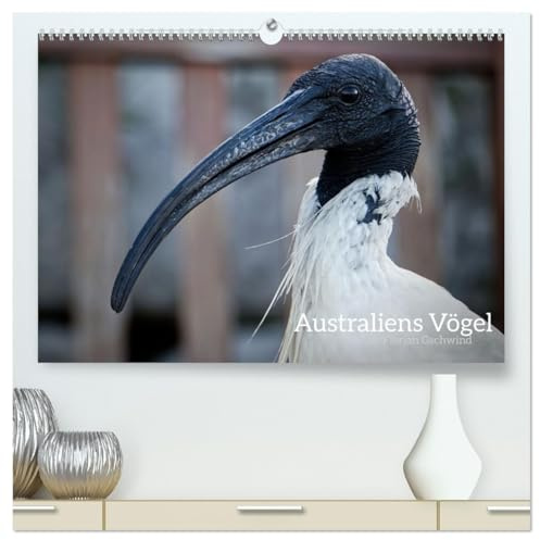 Australiens Vögel (hochwertiger Premium Wandkalender 2026 DIN A2 quer), Kunstdruck in Hochglanz: Die wunderbare Vielfalt der australischen Vögel. (CALVENDO Tiere)