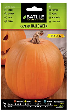 Semillas Batlle Calabaza Hallowen