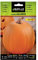Batlle Gemüsesamen - Halloween Kürbis (6g Samen)