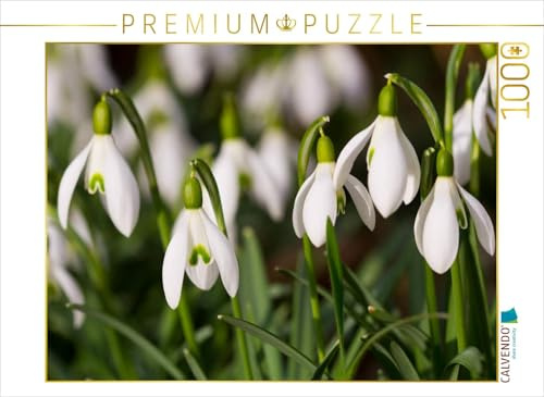 CALVENDO Puzzle Schneeglöckchen | 1000 Teile Lege-Größe 64 x 48 cm Foto-Puzzle für glückliche Stunden
