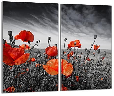 DarHaus Plaque de protection universelle pour plaque de cuisson 2x30x52cm Pour plaques de cuisson Protection contre les éclaboussures Planche a découper en verre trempé Décoration, Coquelicots Rouge