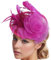 SJTJSPX Chapeau Bibi Femme Chapeau Fascinator Élégant Bibi Mariage Chapeau Nuptiale Coiffure Pince à Cheveux Accessoires Cheveux Bandeau Rétro pour Cocktail Royal Ascot Cérémonie Carnaval Mariage