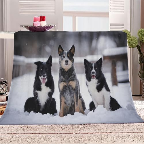 Kuscheldecke Erwachsene 3D Border Collie Flanelldecke Sherpa Fleecedecke Motiv Decke 150x200 cm Mädchen Jungen Tier, Hund Weiche Microfaser Warmer Wohndecke Bettüberwurf Sofatdecke