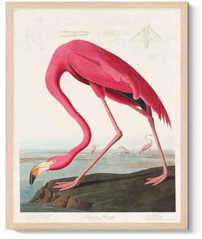 Bluegrass Valley Art Flamingo-Wandkunst, rosa Vogel, Leinwanddrucke, Bilder, moderne Tiere, Wanddekoration, gerahmte Poster für Mädchenzimmer, Schlafzimmer, Heimdekoration, Geschenke, 20,3 x 25,4 cm,