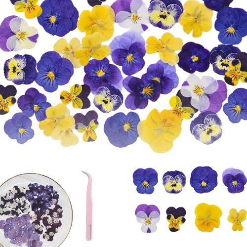 EUYKQNOI 40 Pezzi 4 Tipi di Fiori Naturali Essiccati e Pressati per Decorazioni di Torte – Mix di Viola Tricolore per Artigianato Fai-da-Te