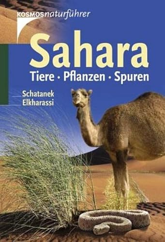Sahara: Tiere, Pflanzen, Spuren