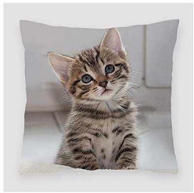 Uteruik Kissenbezug mit Katzen-Motiv, dekorativer quadratischer Kissenbezug für Sofa, Schlafzimmer, 45 x 45 cm, mit unsichtbarem Reißverschluss (#D)