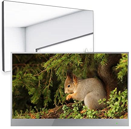 Soulaca 22 inch Smart LED Mirror TV for Bathroom,1080P Waterpoof with Wi-Fi and Bluetooth,Built-in Alexa,Integrated with Speaker,SS215U22-E015 2024 Model