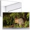 Soulaca 22 inch Smart LED Mirror TV for Bathroom,1080P Waterpoof with Wi-Fi and Bluetooth,Built-in Alexa,Integrated with Speaker,SS215U22-E015 2024 Model