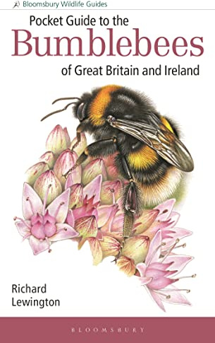 Pocket Guide to the Bumblebees of Great Britain and Ireland (Bloomsbury Wildlife Guides)