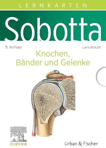 Sobotta Lernkarten Anatomie: Knochen, Bänder und Gelenke
