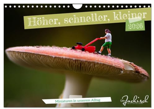 Höher, schneller, kleiner - Miniaturen in unserem Alltag (Wandkalender 2026 DIN A4 quer), CALVENDO Monatskalender: Kleine Figuren, die sonst nur in ... lädt zum Schmunzeln ein. (CALVENDO Spass)