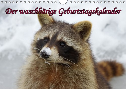 Waschbären / Geburtstagskalender (Wandkalender immerwährend DIN A4 quer): Der waschbärige immerwährende Geburtstagskalender (Monatskalender, 14 ... + Martina Berg, Pferdografen.de