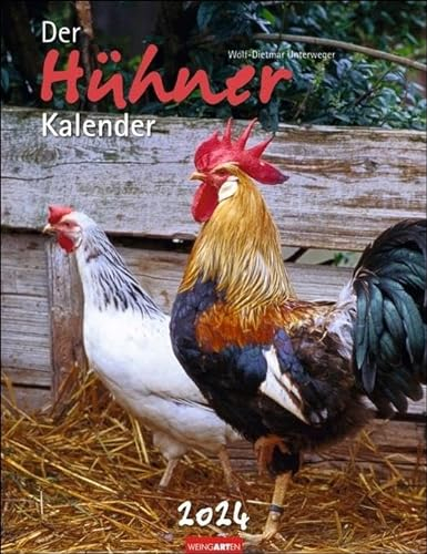 Der Hühner-Kalender 2024. Wandkalender 2024 mit Hühnerfotos des bekannten Naturfotografen Wolf-Dietmar Unterweger. Tier-Kalender 2024 mit idyllischem Bauernhofflair.