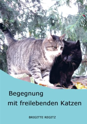 Begegnung mit freilebenden Katzen: Porträts freilebender Katzen