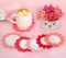 ENCHOL Crochet Kit for Beginners - 6Pcs Handmade Coasters in a Plant Pot Crochet Start Kit, Complete Beginner Crochet Kit with Yarn, Accessories, Step-by-Step Video Tutorials for Adult Beginners