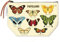 Cavallini Papers & Co. Papillions Vintage Pouch Beutel, Baumwolle, Mehrfarbig