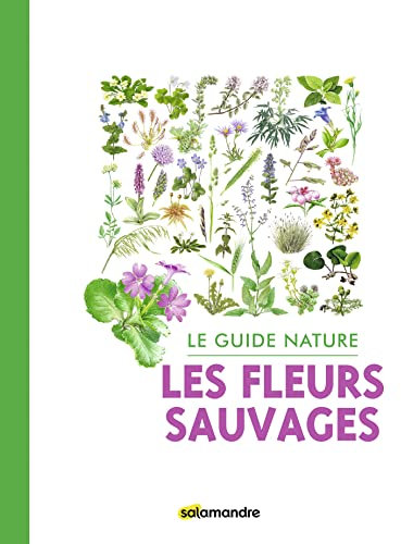 Le guide nature Les fleurs sauvages
