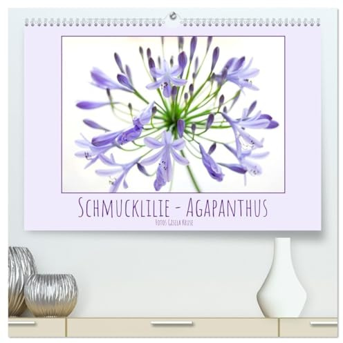 Schmucklilie - Agapanthus (hochwertiger Premium Wandkalender 2026 DIN A2 quer), Kunstdruck in Hochglanz: Die auch Liebesblume genannte majestätische ... ist ein absoluter Blickfang (CALVENDO Natur)