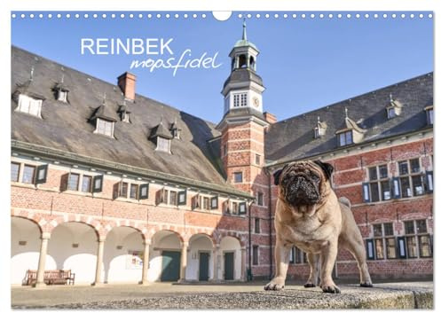 Reinbek mopsfidel (Wandkalender 2026 DIN A3 quer), CALVENDO Monatskalender: Reinbek im Sachsenwald, mit dem Mops erleben und lieben (CALVENDO Orte)