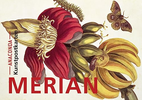Postkarten-Set Maria Sibylla Merian: 18 Kunstpostkarten aus hochwertigem Karton. ca. 0,28€ pro Karte (Anaconda Postkarten, Band 2)