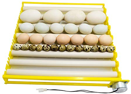 Incubadora de huevos de diseño HopeU5 tipo rodillo 7 tubos bandeja giratoria de huevos con motor de 12 V / 220 V nacedora para pollos, patos, pájaros (7tubes-220V)
