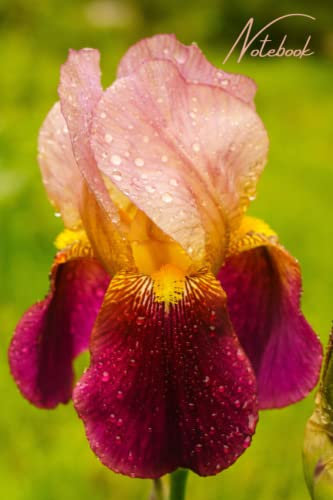 Notebook Iris: 6x9 Lined 120 Pages
