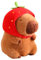 Peluche de Capybara, Peluche de Capybara para niños, Capybara con Sombrero Rojo de Fresa, Peluche de Capybara de Regalo, Peluche de Capybara para niñas y niños (23 cm)