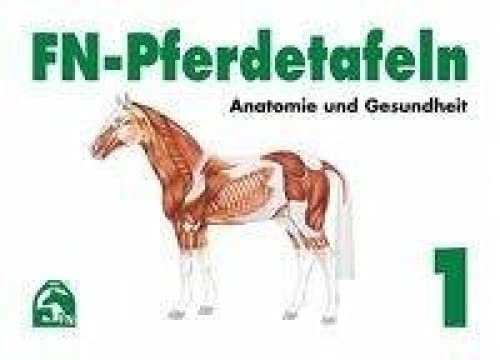 FN-Pferdetafeln. Mappe 1