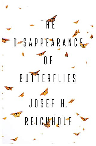 The Disappearance of Butterflies