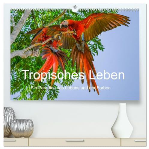 Tropisches Leben Ein Paradies des Lebens und der Farben (hochwertiger Premium Wandkalender 2026 DIN A2 quer), Kunstdruck in Hochglanz: Eine vielfarbig ... vom Regenwald bis zum Ozean. (CALVENDO Orte)