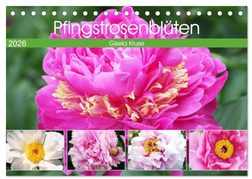 Pfingstrosenblüten (Tischkalender 2026 DIN A5 quer), CALVENDO Monatskalender: Die Rosen des Frühlings wunderschön porträtiert (CALVENDO Natur)