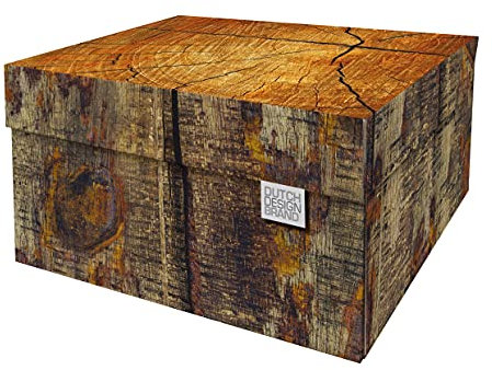 Dutch Design Brand Dekorative Aufbewahrungsboxen mit Deckel – Größe: 38,9 x 31,8 x 21,1 cm – FSC zertifizierter recycelbarer Karton (Druck: Baumstamm)