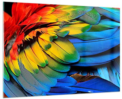 Bilder auf Glas 100x70cm Glasbild Feder Papagei Vogel Groß Wanddeko Bild im Glas Schlafzimmer Küche Deko Wandbilder Dekoration Wohnzimmer Modern Wall Decor Glasdruck Wand Kunstdruck Art GAA100x70-3428