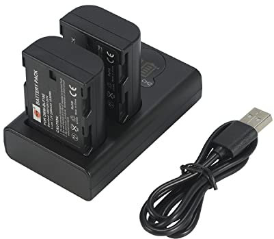 DSTE DMW-BLF19E DMW-BLF19 Lot de 2 Piles de Rechange + Double Chargeur USB avec écran LCD Compatible avec Panasonic Lumix DMC-GH3, DMC-GH3GK