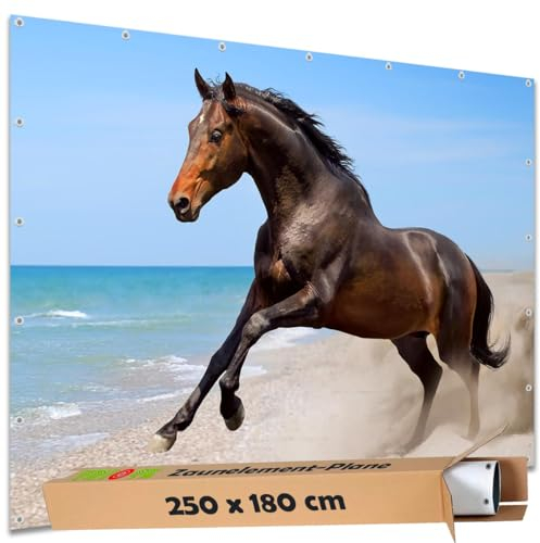 TRIOSK Sichtschutz Garten Deko Zaun Plane Blickdicht groß mit Zaunblende Motiv Pferd Sandstrand Meer Strand für Zaunelement Doppelstabmatten Stabmattenzaun Gartenzaun PVC 250x180 cm