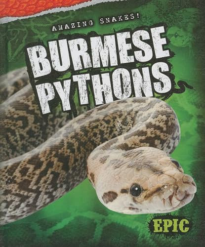 Burmese Pythons (Amazing Snakes!)