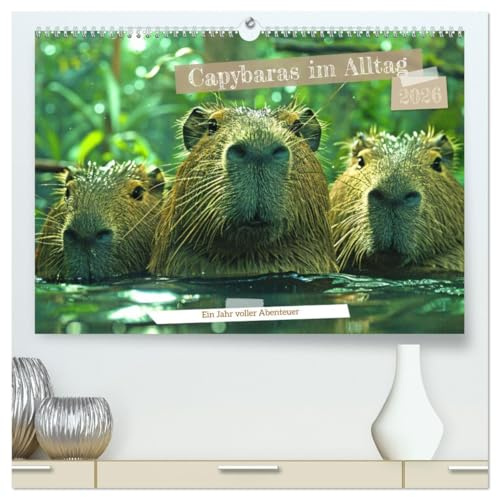 Capybaras im Alltag - Ein Jahr voller Abenteuer (hochwertiger Premium Wandkalender 2026 DIN A2 quer), Kunstdruck in Hochglanz: Erlebe die charmanten ... Abenteuer zeigen. (CALVENDO Tiere)