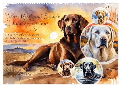 Voller Kraft und Energie - Labrador-Retriever (Wandkalender 2026 DIN A2 quer), CALVENDO Monatskalender: Mit zauberhaften Aquarellen des beliebtesten Rassehundes durch's ganze Jahr (CALVENDO Tiere)