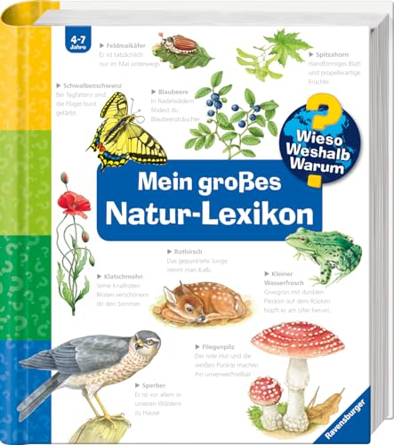 Wieso? Weshalb? Warum? Sonderband: Mein junior-Lexikon: Natur (Sachbuch ab 2 Jahre - mit Klappen)