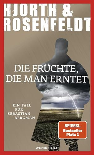 Die Früchte, die man erntet: Kriminalroman (Ein Fall für Sebastian Bergman, Band 7)