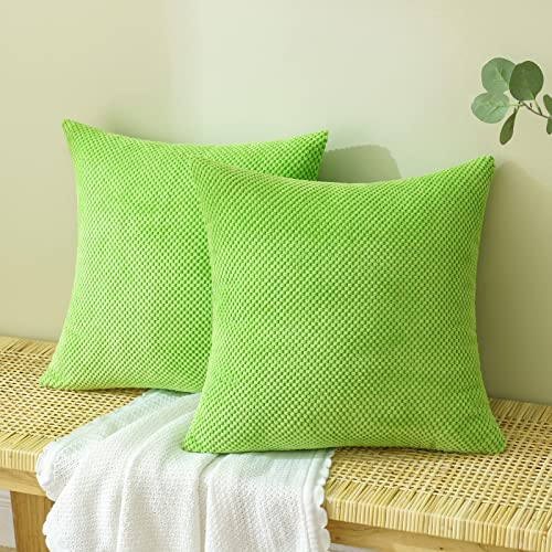EMEMA Kordsamt Kissenbezug Dekorative Granulat Sofakissen Dekokissen Kissenbezüge Kissenhülle Couchkissen Überwurf Kissen Bezug Zierkissen für Couch Sofa Wohnzimmer 2er Set 40x40 cm Frucht grün
